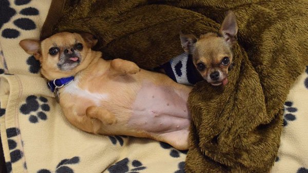 That Friday Feeling photos at Radass.com. (15)