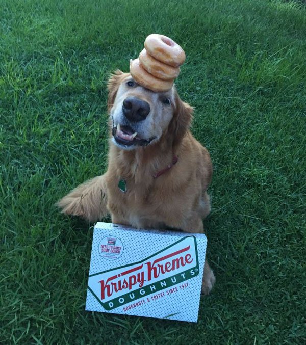 That Friday Feeling photos at Radass.com. (14)