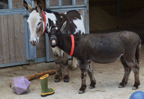 That Friday Feeling photos at Radass.com. (12)