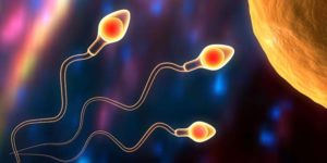 דיקור סיני לפוריות