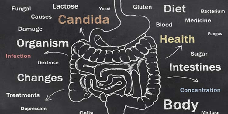 טיפול בקנדידה עם רפואה סינית