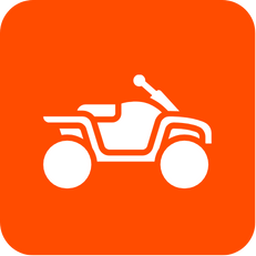 Vehicule quad img-23