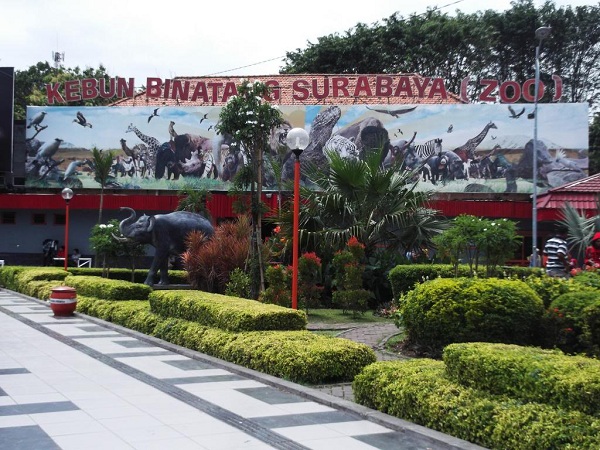 Bonbin Surabaya, Alamat dan Jam Buka 4 Bonbin Surabaya