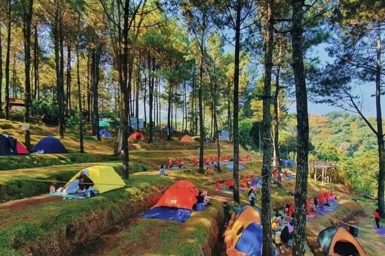 13 Tempat Camping di Surabaya Populer, Harga Tiket Masuk 10 Alas Pelangi