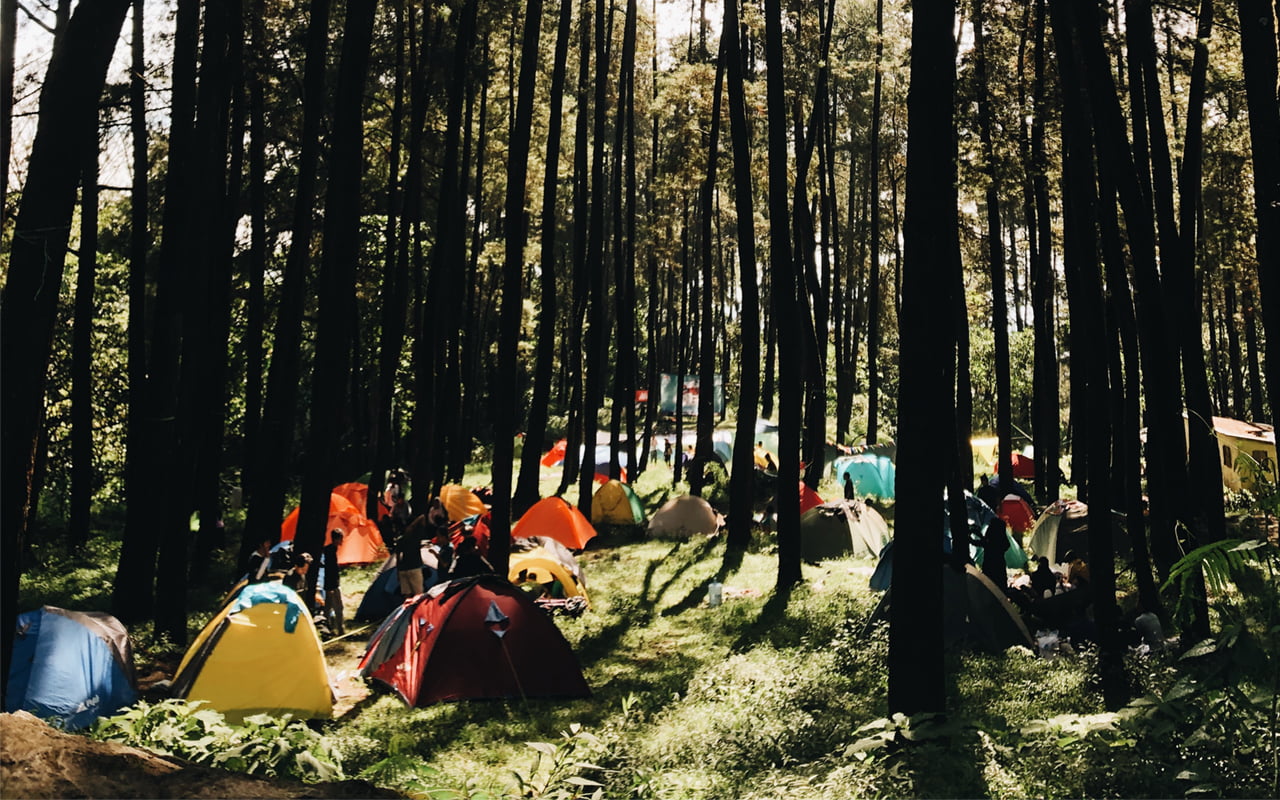 13 Tempat Camping di Surabaya Populer, Harga Tiket Masuk 11 Kakek Bodo Campground