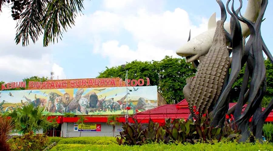 Kebun Binatang Surabaya, Harga Tiket, Jam Buka & Alamat 1 Kebun Binatang Surabaya