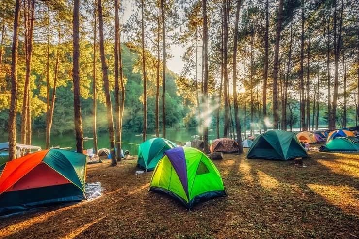 13 Tempat Camping di Surabaya Populer, Harga Tiket Masuk 3 Camping Ground Hotel Singgasana