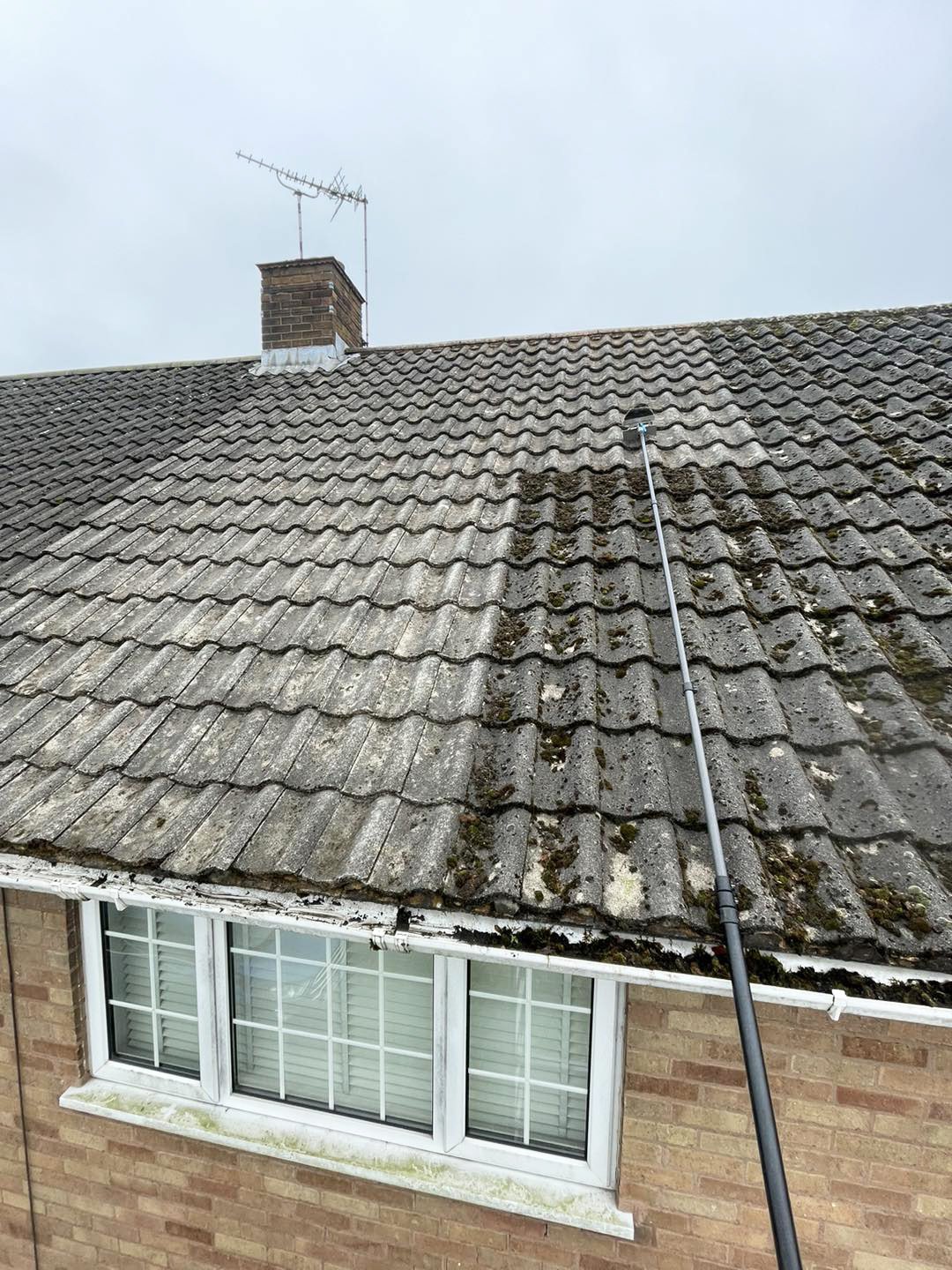 moss-removal-roof-clean1 roof cleaning company in Solihull