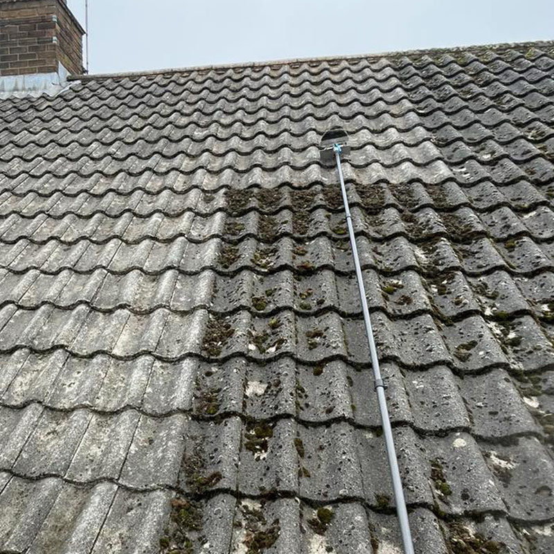 moss-removal-company moss removal roof clean company Kenilworth