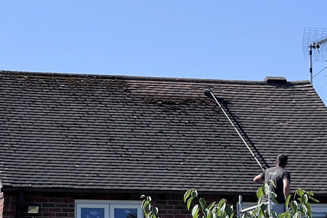 moss-removal-henley-in-arden-3 img-4