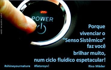 Brilhe muito! Vivencie "Senso Sistêmico" Senso Sistemico Rico Mader capa