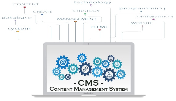 cosa è un content management system
