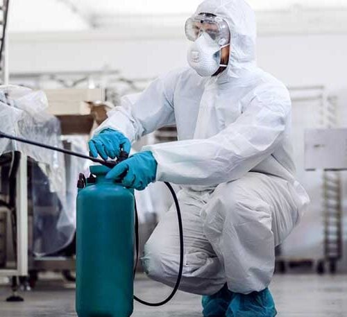 Fumigation Services Fumigation Services