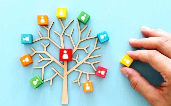 Vaccination services Vaccination services