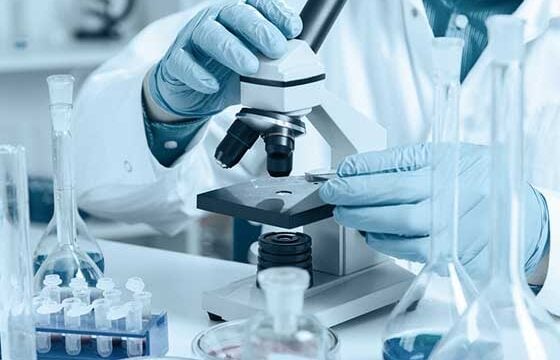 Ergonomics & lifestyle management programs Ergonomics & lifestyle management programs