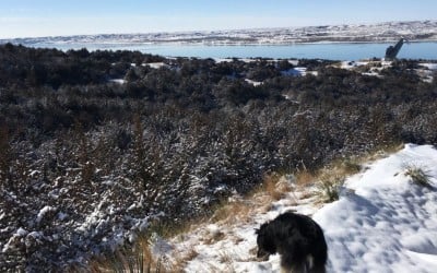 Chamberlin Rest Area View – Best view ever from a rest area