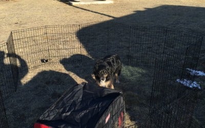 Broadus MT – Folding Dog Pens for the RV – 02-26-16