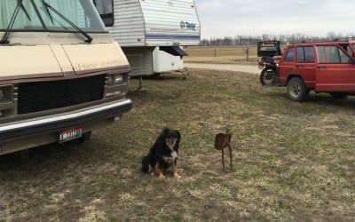 Radio Silence Broken