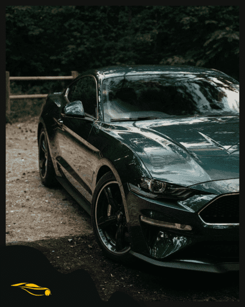 best window tint for cars