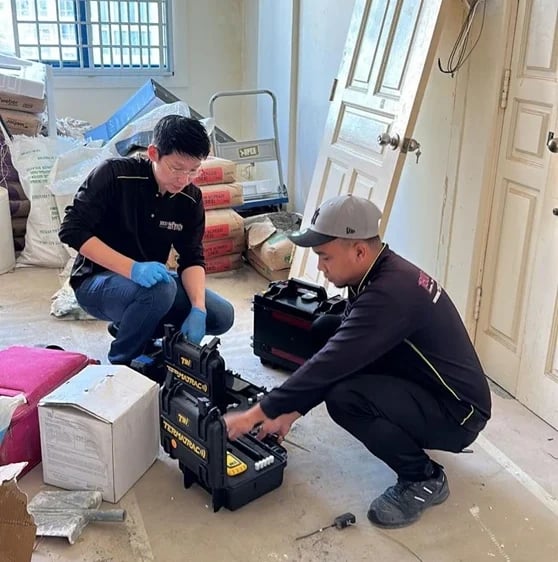 pest removal services