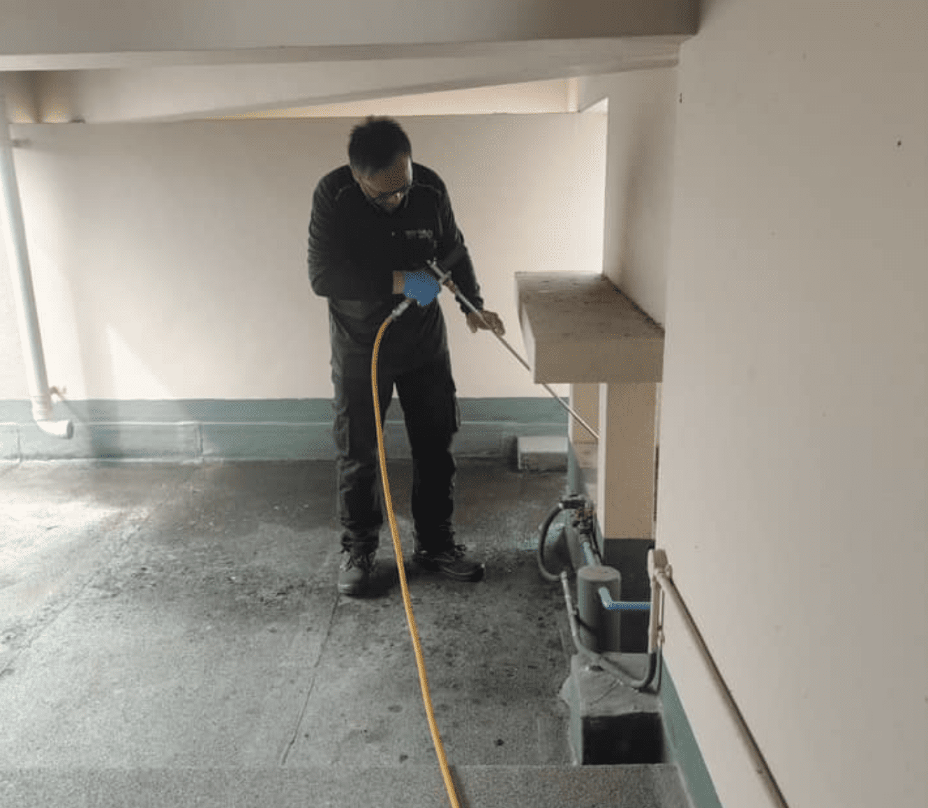 building-pest-inspection