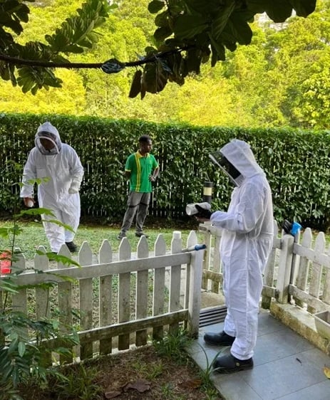 pest control in Johor Bahru