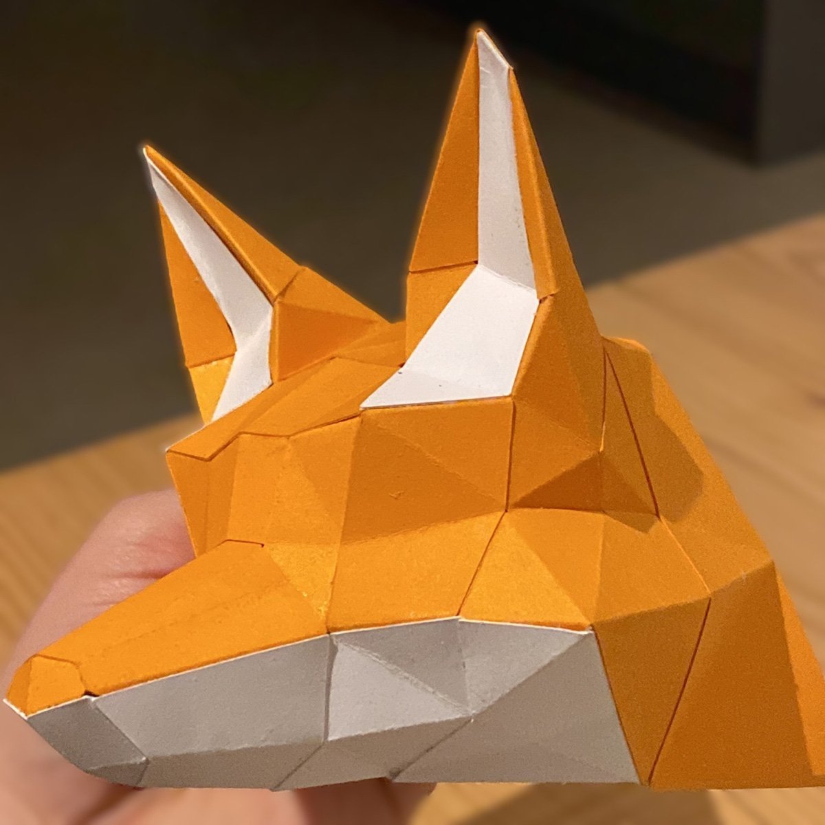 Slapende Vos (35-50 cm) - Afbeelding 6