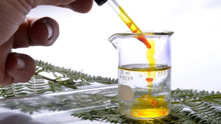 Cosmetic Emulsifiers That Work With Cannabis - DIY Skincare