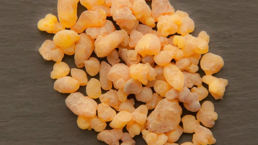 Dried resin tears to make Frankincense essential oil.