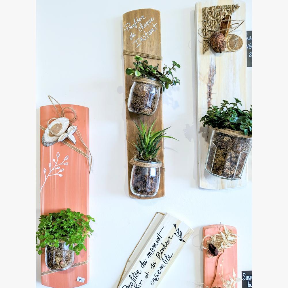 Décorations murales avec plantes en pots suspendus.