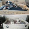 panier-lit-chien-chat-animaux-bois-personnalisé-artisanal panier-lit-chien-chat-animaux-bois-personnalisé-artisanal