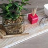 centre-table-décoration-plante-apéro-bois-personnalisé-artisanal centre-table-planche-décoration-plante-apéro-bois-personnalisé-artisanal