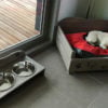 panier-lit-porte-gamelle-chien-chat-animaux-bois-personnalisé-artisanal panier-lit-porte-gamelle-chien-chat-animaux-bois-personnalisé-artisanal