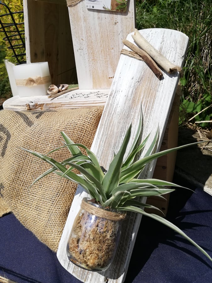 suspension-vegetal-bois-plante-décoration-mural-bois-personnalisé-artisanal