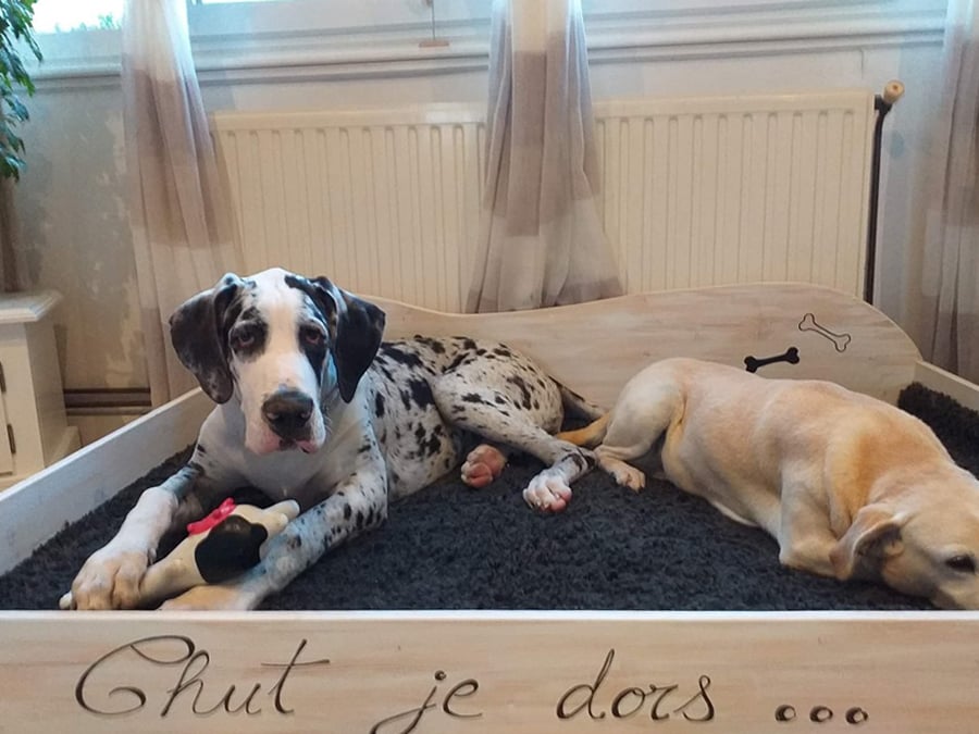 panier-lit-chien-chat-animaux-bois-personnalisé-artisanal