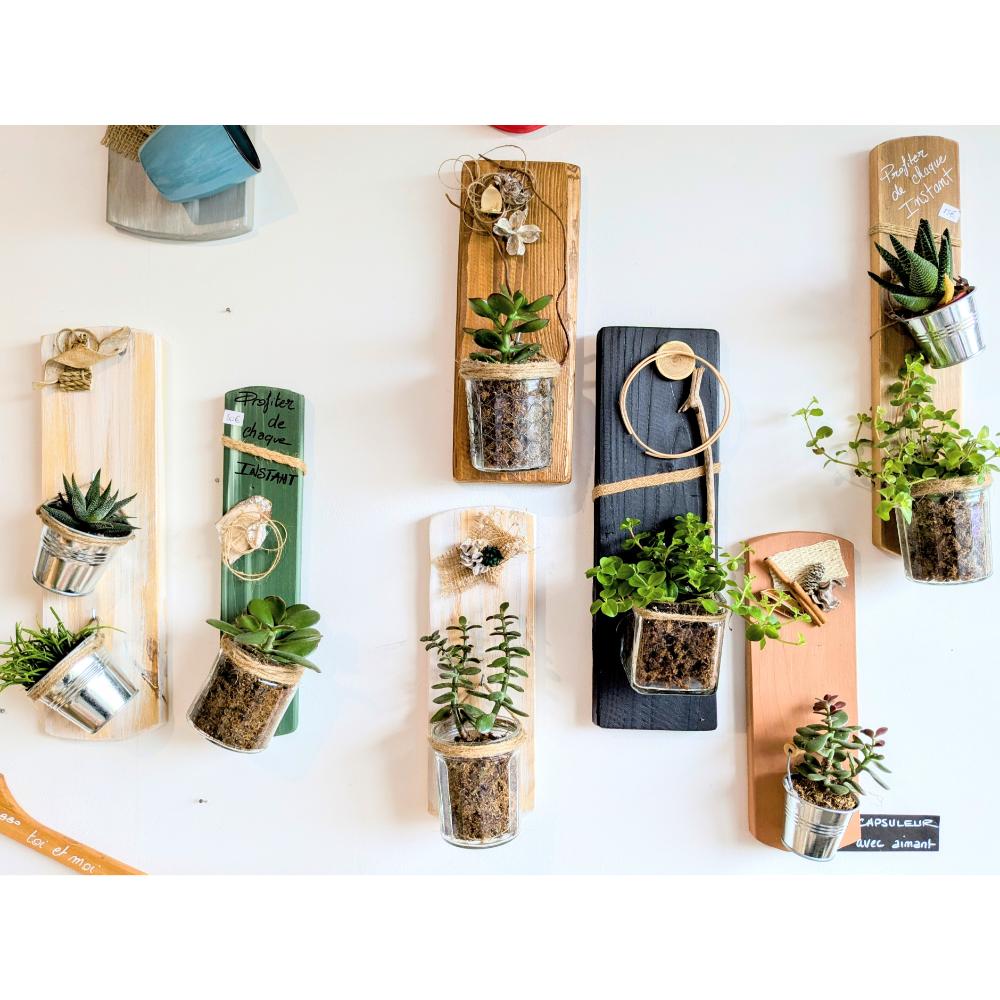 Mur de plantes succulentes suspendues sur planches colorées.