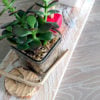 centre-table-décoration-plante-apéro-bois-personnalisé-artisanal centre-table-décoration-plante-apéro-bois-personnalisé-artisanal