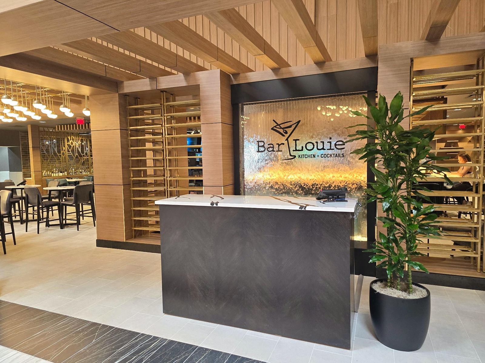 Enclosed Water Falls 13 Enclosed Sealed Water Wall with Vinyl Logo for Bar Louie Restaurant in Hoffman Estates Illinois 2