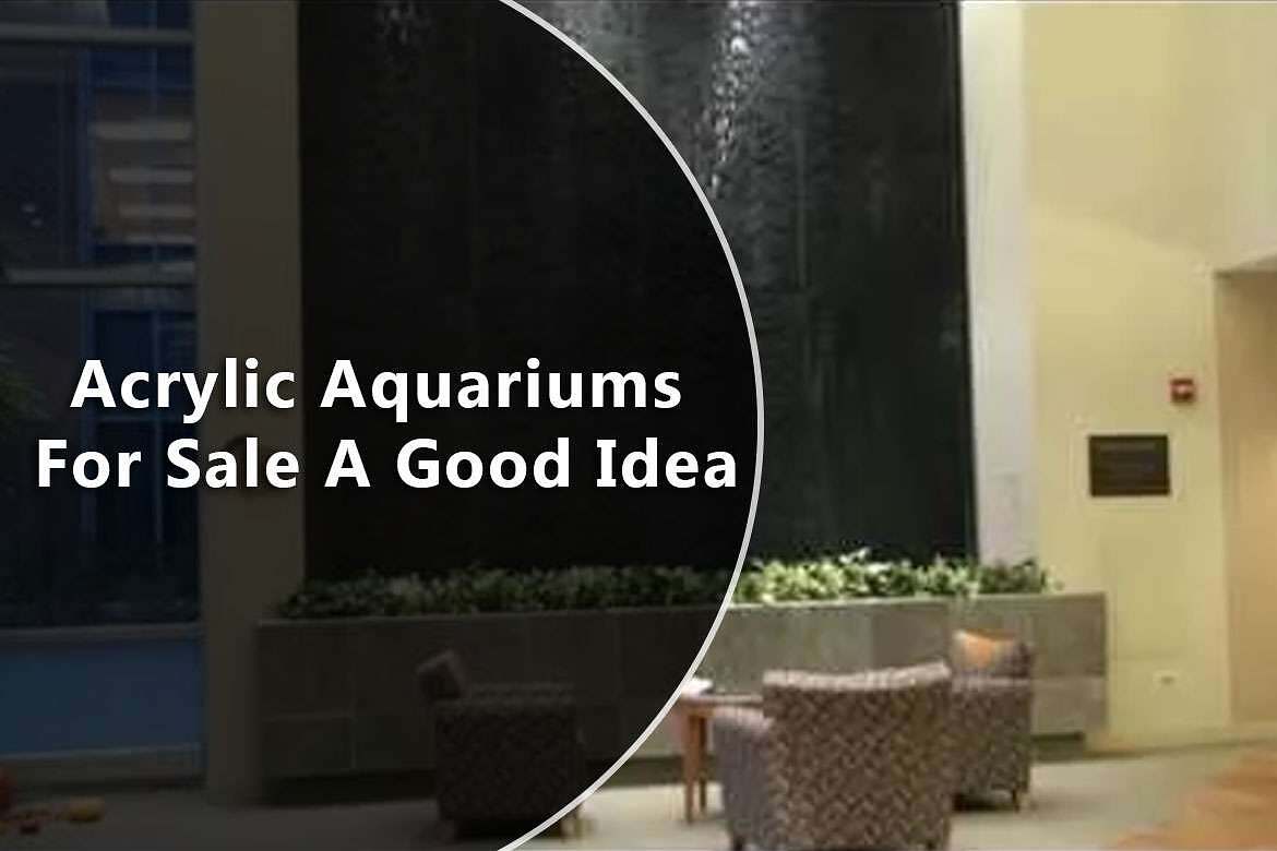 Acrylic Aquariums For Sale A Good Idea 1 Acrylic Aquariums For Sale A Good Idea
