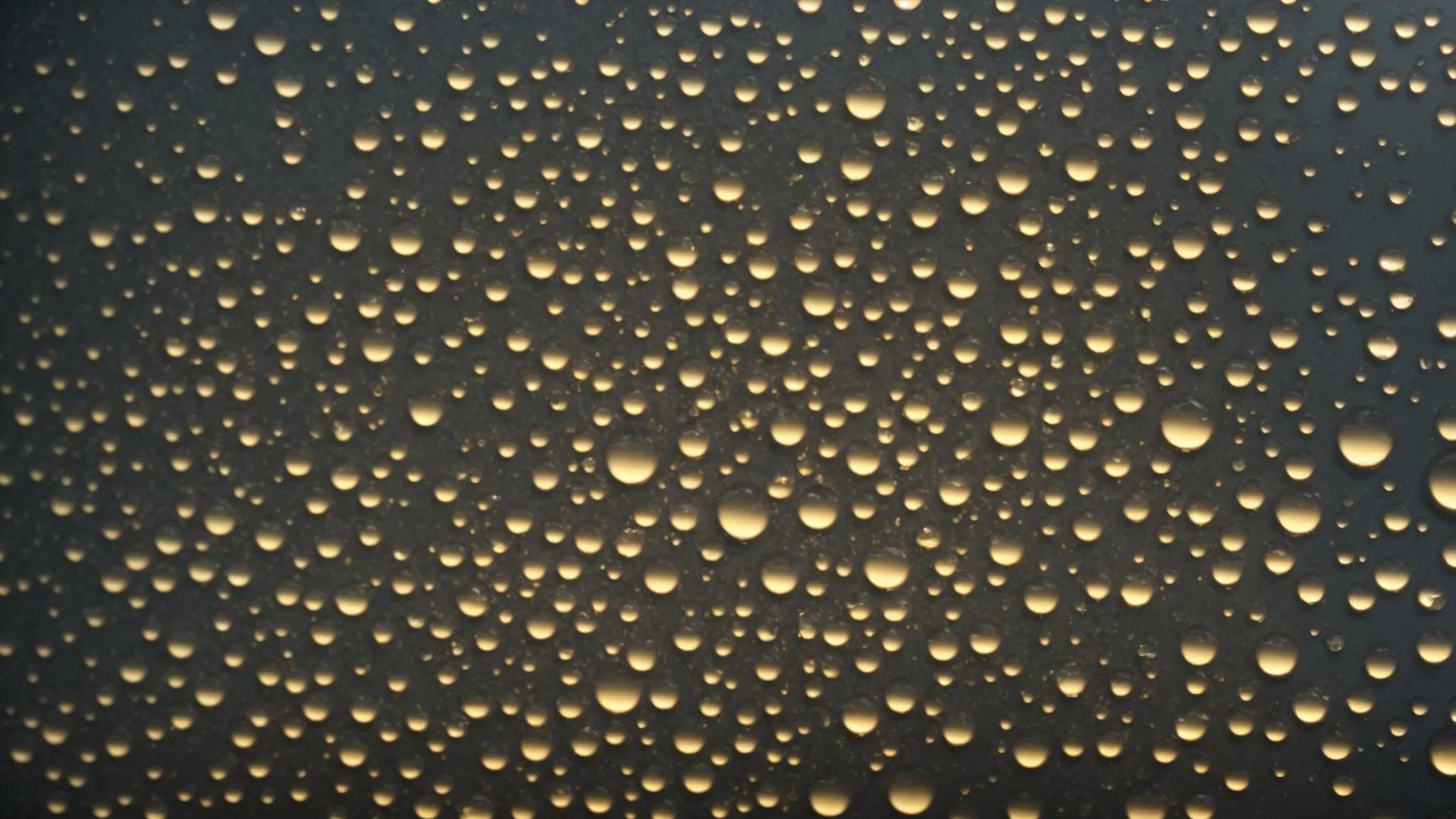 Removing Water Bubble in Wall: Step-by-Step Guide 1 a close-up view of a wall showcasing noticeable water bubbles and discolorations, illuminated by harsh overhead lights in a dimly lit room, emphasizing the urgency of recognizing potential moisture intrusion before significant damage occurs.