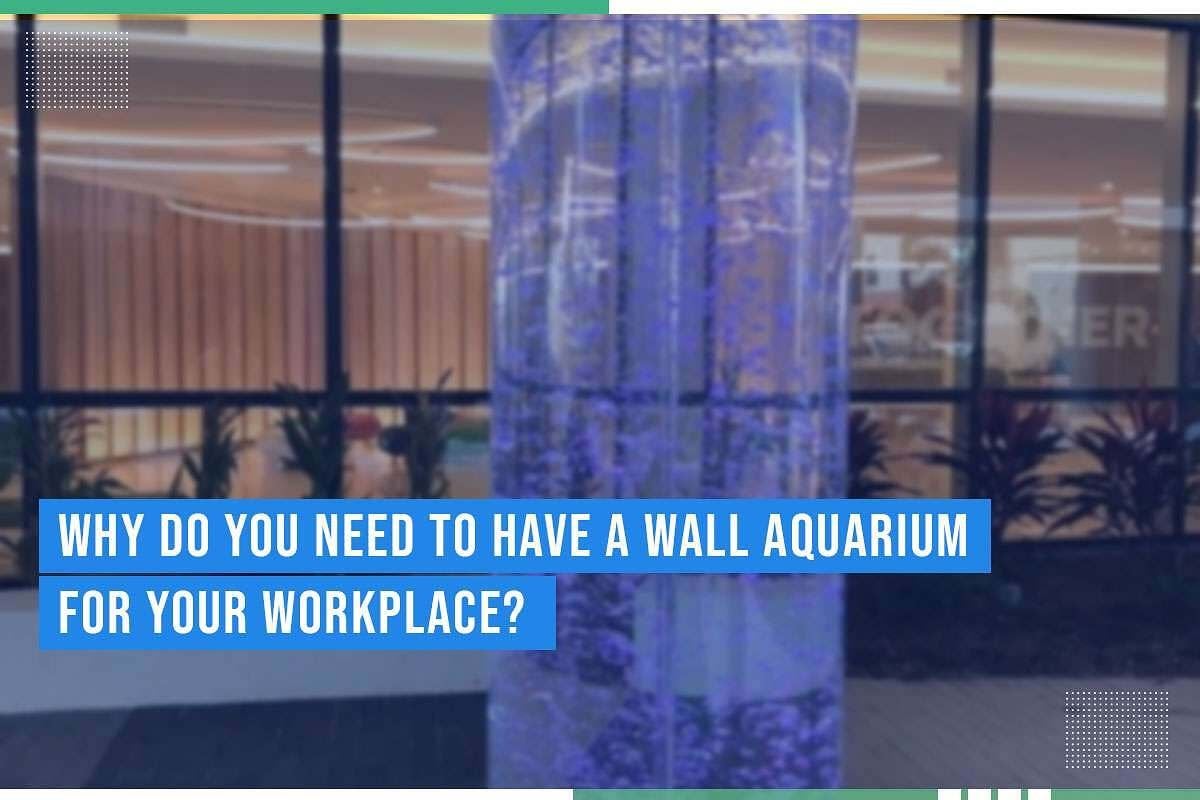 Why Do You Need To Have A Wall Aquarium For Your Workplace Why Do You Need To Have A Wall Aquarium For Your Workplace