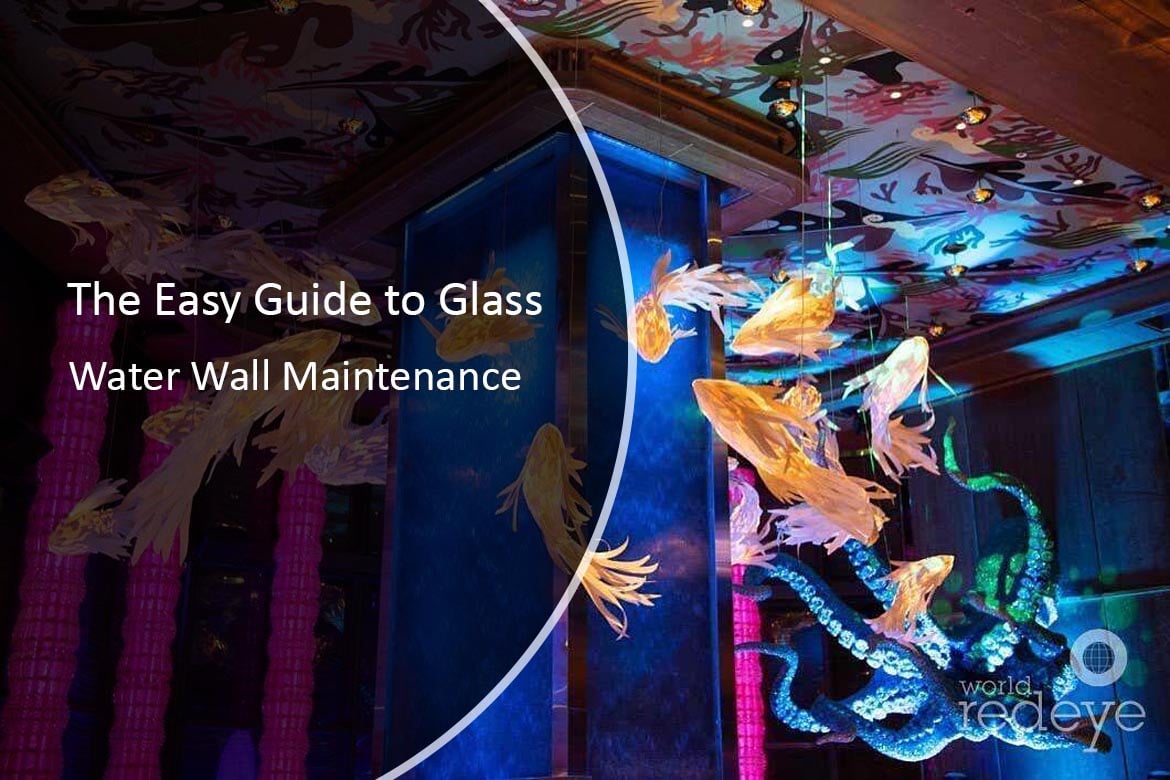 Glass water wall feature with illuminated aquatic decor, showcasing vibrant colors and artistic elements, illustrating maintenance guide for indoor water installations.