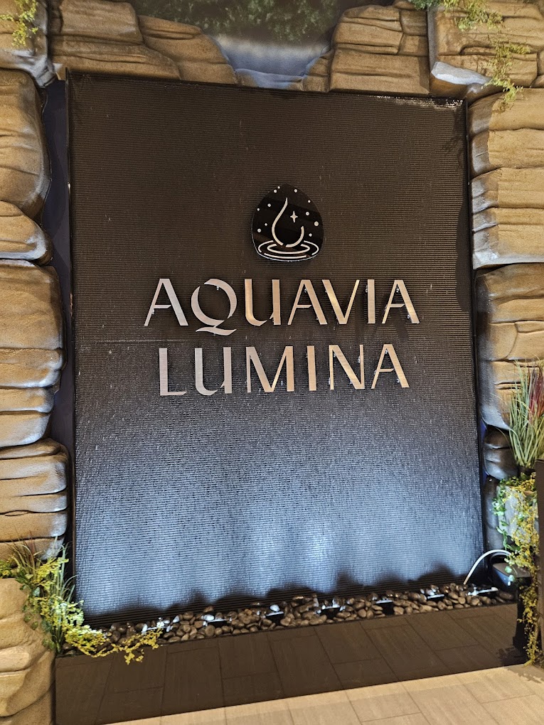 Acrylic Water Features 71 Black Scored Acrylic Water Wall for Aquavia Lumina at Wilderness Resort in Wisconsin Dells 2
