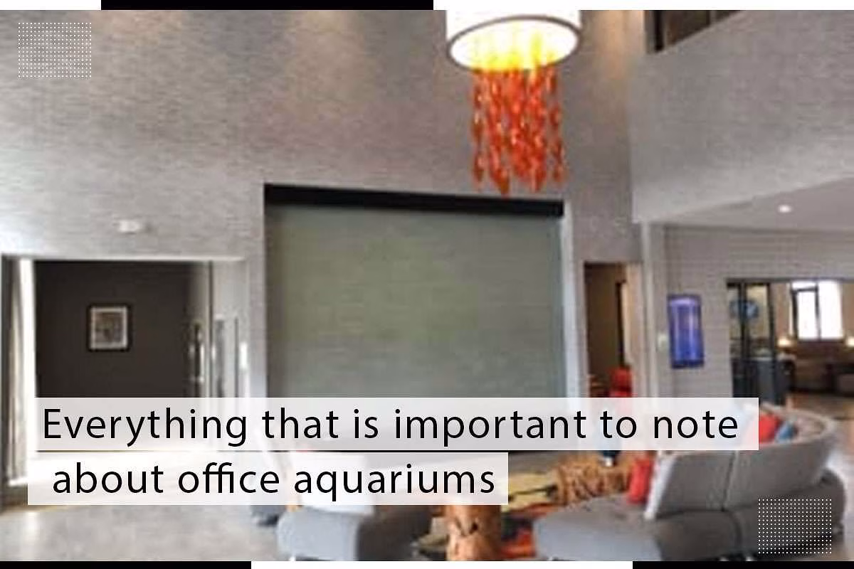 Modern office interior featuring a decorative aquarium wall, with the text "Everything that is important to note about office aquariums" prominently displayed, emphasizing the integration of aquatic designs in workplace environments.