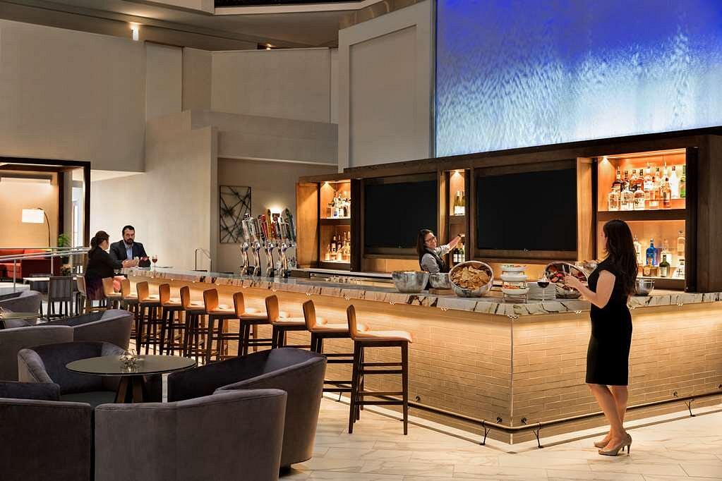 Wire Mesh Water Features 36 Mesh Waterfall at Embassy Suites Phoenix 7