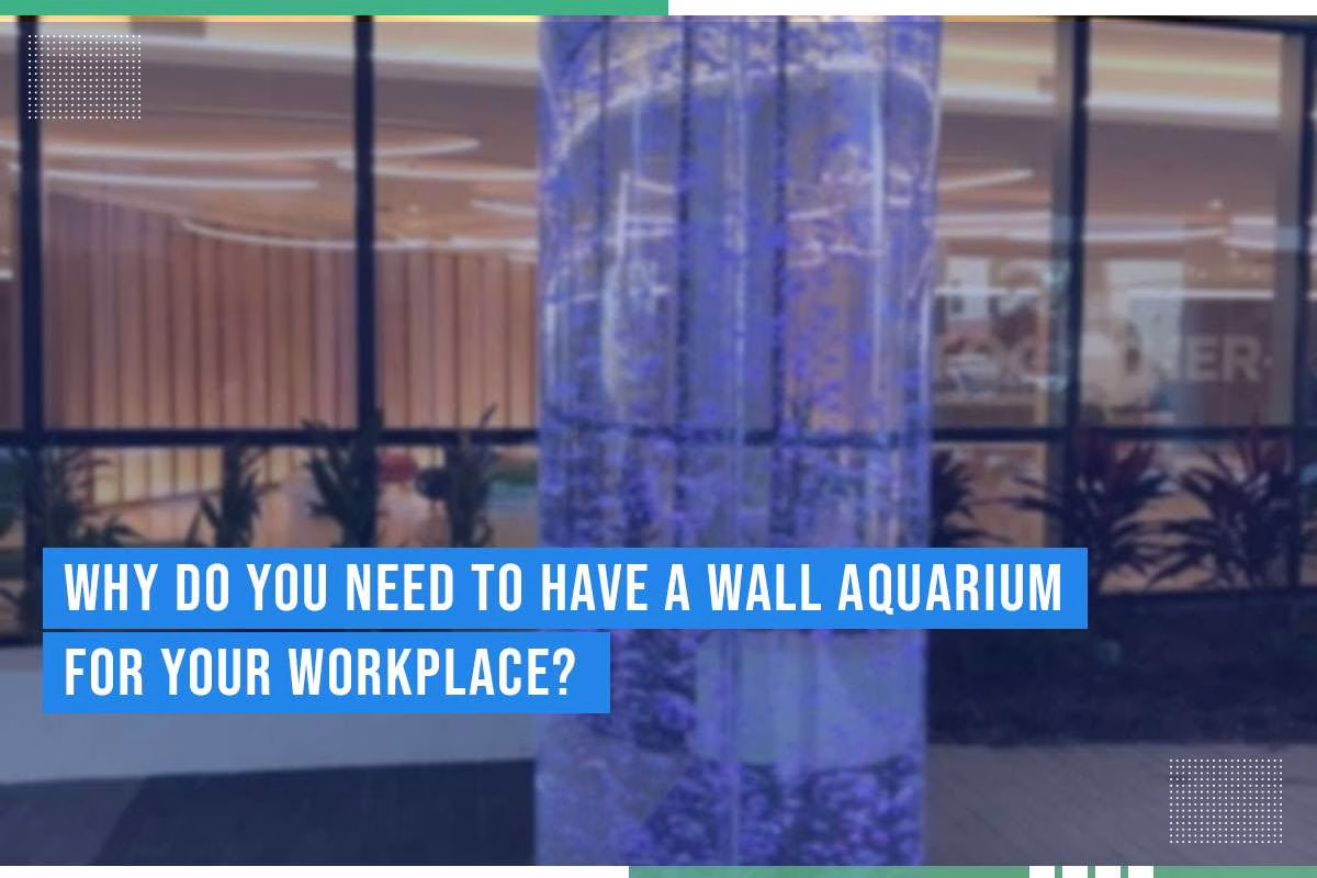 Wall aquarium with illuminated water feature in a modern workplace setting, highlighting benefits of indoor aquatic installations for enhancing office environments.