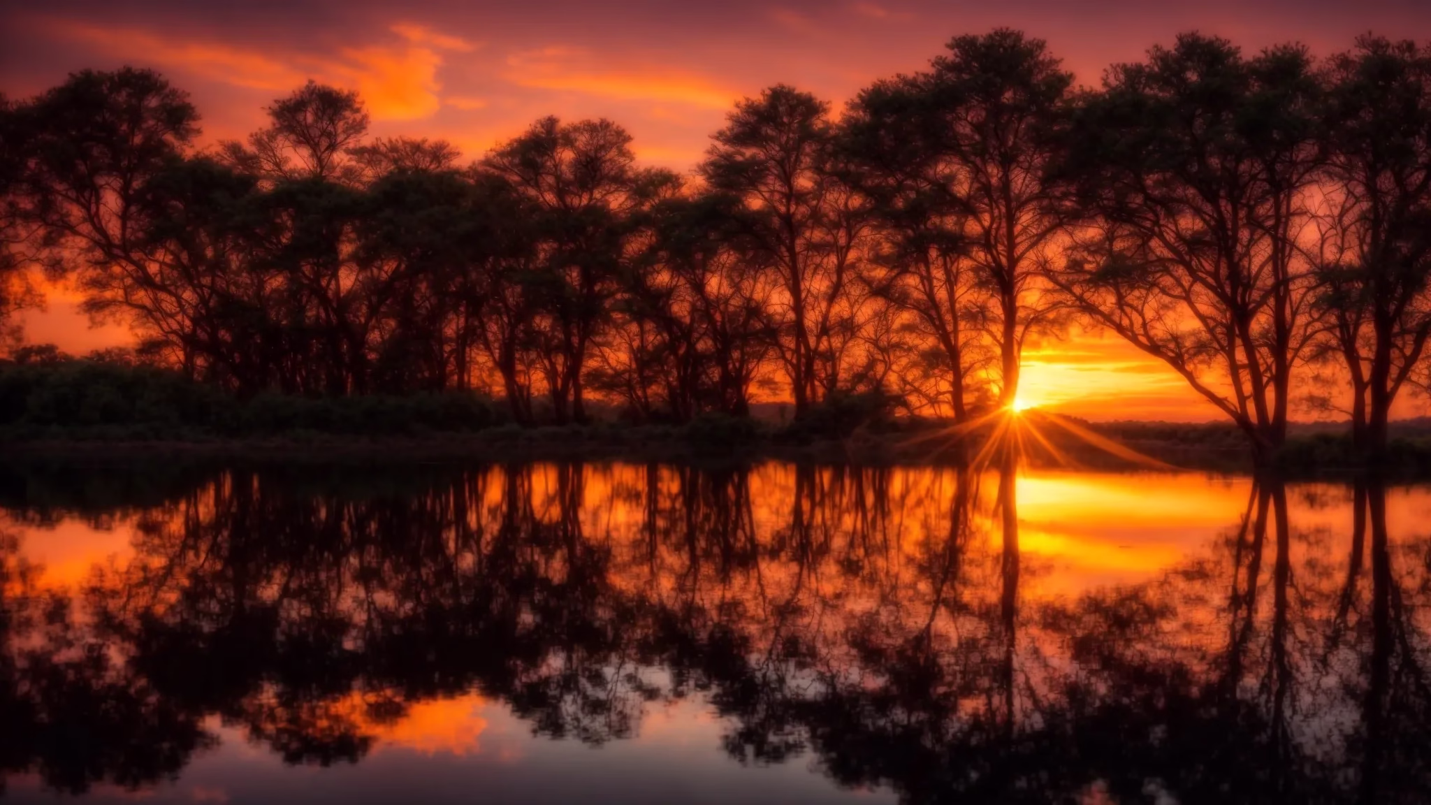 Ways to Add Charm to Your Small Garden Space 5 a vibrant sunset casts a warm glow over a serene lake, where still waters reflect the kaleidoscope of colors in the sky and silhouetted trees frame the horizon.