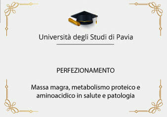 Perfezionamento-massa-magra-metabolismo-proteico-aminoacido-salute-patologia