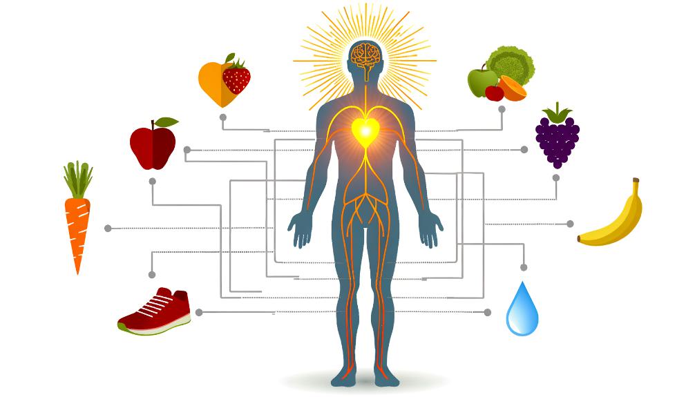 boost health with nrf {{brizy_dc_image_alt entityId=