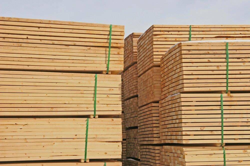 iStock_000001478699Medium-300x199 סוגי עצים  iStock_000001478699Medium-300x199 סוגי עצים